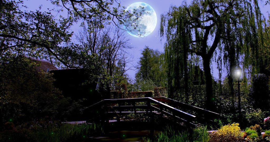 The full moon gives light in the garden with trees and a small bridge