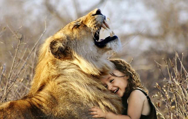 The girl hugs the lion